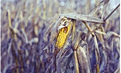 PostHarvest - Post Harvest Problem Course