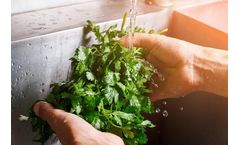 PostHarvest - Fruit & Vegetable Preparation and Handling Course