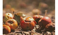 PostHarvest - Difference Between Food Loss and Food Waste Course