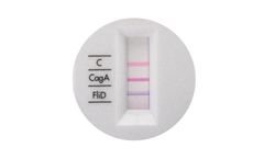 ImevaX - CagA Antigen - Cytotoxin-Associated Antigen A
