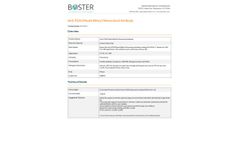 Model M11954-1 - Anti-FOX3/NeuN Rbfox3 Monoclonal Antibody - Datasheet