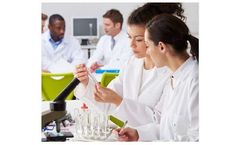 Antibody Validation Service