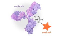 Tubulis - Model P5 - Conjugation Platform