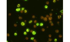 Scimedx - Arbovirus Screen Slide