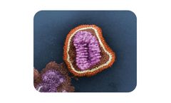 Menssana - Breath Test for Viral Influenza