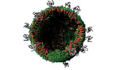 ARTES METAVAX - Vaccine Technology