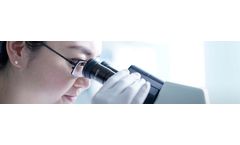 Tafasitamab - Model MOR208 - Humanized FC-Modified CD19 Targeting Immunotherapy