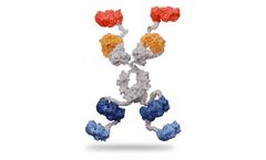 SystImmune - Model GNC-038 - Guidance and Navigation Control (GNC) Molecules