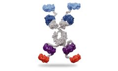 SystImmune - Model GNC-035 - Guidance and Navigation Control (GNC) Molecules