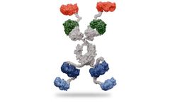SystImmune - Model GNC-039 - Guidance and Navigation Control (GNC) Molecules