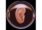 3DBio - Model AuriNovo - Proprietary Process Technology for Microtia Patients