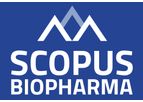 Scopus - Model CO-sTiRNA - Dual-Action STAT3 Inhibitor