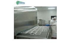 Cryo - Tunnel Freezer