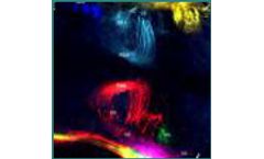 NeuroVue® Red - Model FS-1002 - 1 Cm2 Filter Coated With The Lipophilic Red Emitting Dye