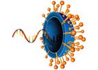 Chimeron - ChaESAR Technology for the Development of First-in-Class RNA Drugs