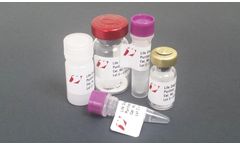 Model IGE-4-13H5 - Anti-Dog IgE Monoclonal