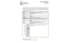 Ampersand - Model CgA - P4006 - Recombinant Human Protein - Datasheet