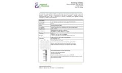 Ampersand - Model CgA mAb (cGA-2G8) M2009 - Human Antibodie - Brochure