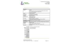 Ampersand - Model P4002 - Recombinant Human Clusterin - Datasheet