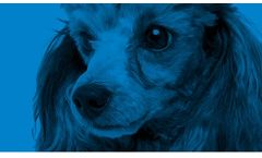 Pet Care Products for Eye Condition - Tear Stains