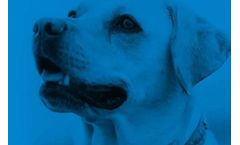 Pet Care Products for Eye Condition - Inflammation & Irritation
