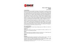 ScienCell - Model MCM M6200 - Mouse Cardiac Myocytes from CD1 - Brochure