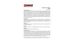 ScienCell - Model ECM 1001 - Endothelial Cell Medium - Brochure