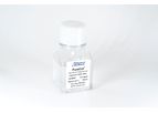 PureCol - Model 5005 - Type I Collagen Solution, 3 mg/ml (Bovine)