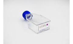 CytoSoft® T-25 Flasks - 10 Flasks of a Specific Elastic Modulus