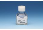 Silk Fibroin - Model 5154 - Solution, 50 mg/ml