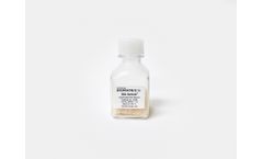 Sericin Protein - Model 5429 - Lyophilized Powder, 1 gram
