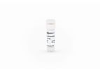 Vitronectin - Model 5051 - Solution, 0.5 mg/ml (Human)