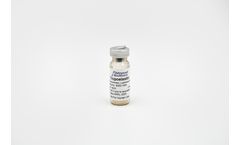Tropoelastin - Model 5052 - Lyophilized (Recombinant)
