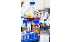 Reagent Preparation Services