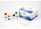 Calbiotech - Model LH231F - Luteinizing Hormone (LH) ELISA