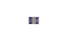 CytoSelect - Model CBA-052 - 48-Well Cell Adhesion Assay, Collagen I