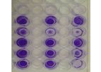 CytoSelect - Model CBA-070 - 48-Well Cell Adhesion Assay, ECM Array
