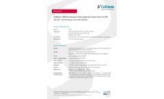 CellGenix - Model rh EGF - Recombinant Human Epidermal Growth Factor Cells - Brochure