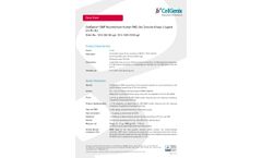 CellGenix - Model rh Flt-3L - Recombinant Human FMS-like Tyrosine Kinase 3 Ligand Cells - Brochure