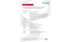 CellGenix - Model GMP DC - Medium Dendritic Cell- Brochure