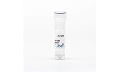 Avidin - Model 2-0204-050 - Biotin and Biotinlyated Proteins
