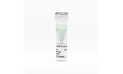 GFP-Twin-Strep-Tag - Model 2-1007-005 - Control Protein