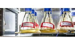Paclitaxel - Active Pharmaceutical Ingredient