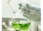Docetaxel - Large-Scale Active Pharmaceutical Ingredient