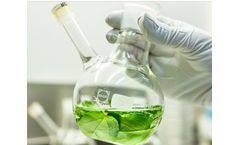 Docetaxel - Large-Scale Active Pharmaceutical Ingredient