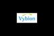 Vybion