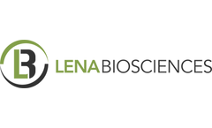 Lena-Biosciences - 3D Cell-Based Assays Services