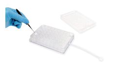 SeedEZ - Robust 3D Cell Culture System