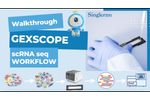 GEXSCOPE workflow - Video