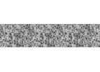 Upcyte - Model Hepatocytes - Expanded Primary Cells
